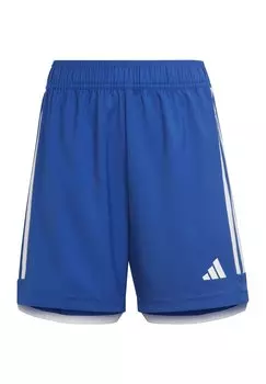 Спортивные шорты FUSSBALL - TEAMSPORT TIRO COMPETITION adidas Performance, синий
