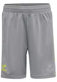 Спортивные шорты GG12 ACTION KIDS UNISEX Hummel, цвет alloy
