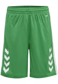 Спортивные шорты HMLCORE XK BASKET Hummel, цвет jelly bean