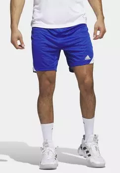 Спортивные шорты ICON SQUAD Adidas, королевский синий белый