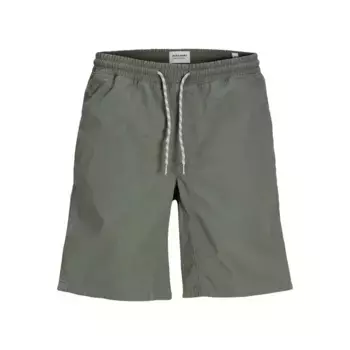Спортивные шорты Jack & Jones Jaiden Reef, зеленый