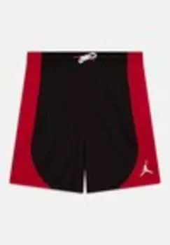Спортивные шорты JUMPMAN LIFE SPORT UNISEX Jordan, серый