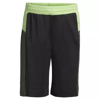Спортивные шорты Lands' End для мальчиков 2–20 лет Lands' End