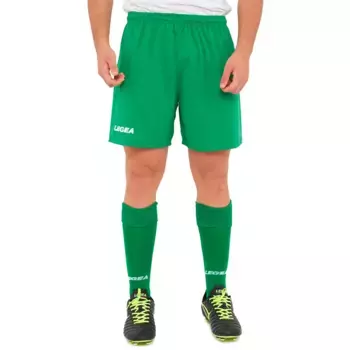 Спортивные шорты Legea Taipei, зеленый