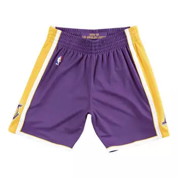 Спортивные шорты Mitchell & Ness NBA Authentic Shorts Los Angeles Lakers Road 2008-09 'Purple Yellow', фиолетовый