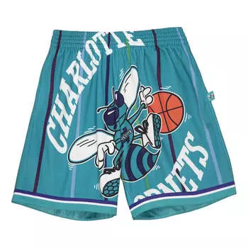 Спортивные шорты Mitchell & Ness x NBA Big Face Shorts 'Charlotte Hornets', зеленый