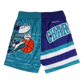 Спортивные шорты Mitchell & Ness x NBA Charlotte Hornets Jumbotron 3.0 Shorts 'Teal'