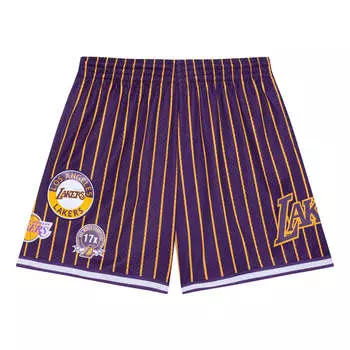 Спортивные шорты Mitchell & Ness x NBA City Collection Mesh Shorts 'Los Angeles Lakers', фиолетовый