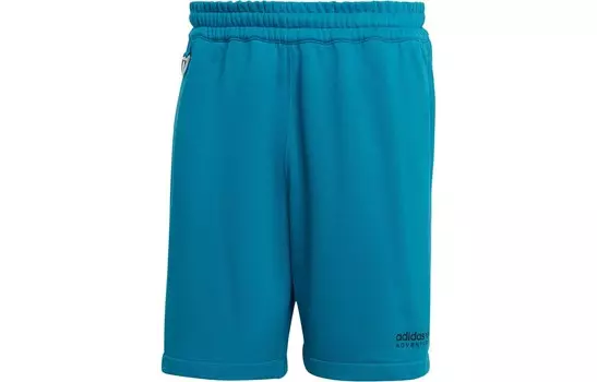Спортивные шорты мужские бирюзовые Adidas Originals, бирюзовый