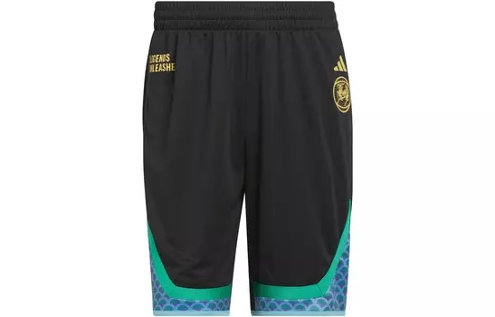 Спортивные шорты мужские черные Adidas, черный