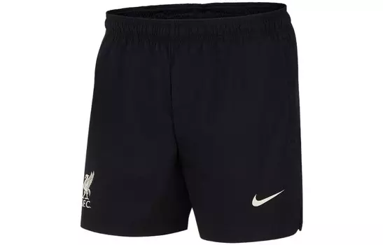 Спортивные шорты мужские черные/ископаемые серые Nike, черный