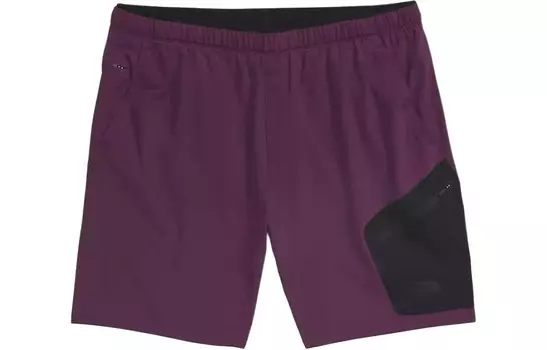 Спортивные шорты мужские фиолетовые The North Face, фиолетовый