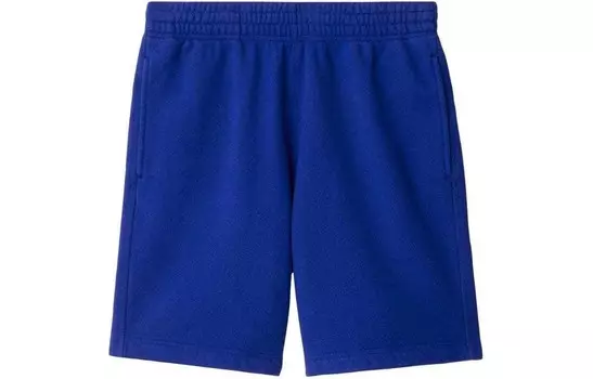 Спортивные шорты мужские королевского синего цвета Burberry, синий