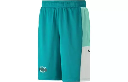Спортивные шорты мужские зеленые Puma, зеленый