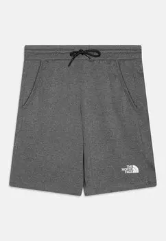 Спортивные шорты NEVER STOP UNISEX The North Face, цвет medium grey heather