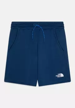 Спортивные шорты NEVER STOP UNISEX The North Face, синий