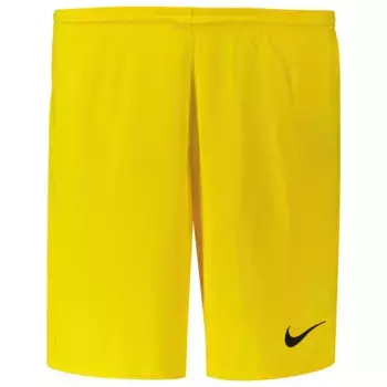 Спортивные шорты Nike Dri-Fit Park 3 Bv6855, желтый