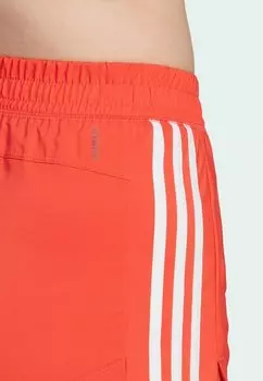 Спортивные шорты Pacer adidas Performance, красный