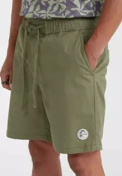Спортивные шорты Porter O'Neill, глубокий лишайниковый цвет