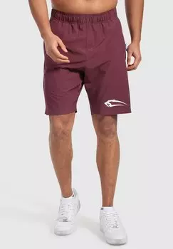 Спортивные шорты POWERFIT TRIPLE Smilodox, сиреневый