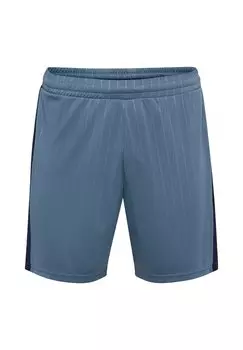 Спортивные шорты PULSE STRIPE BLOCKED Hummel, синий