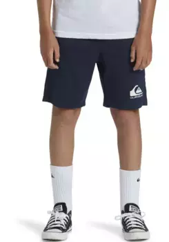 Спортивные шорты Quiksilver "EASY DAY JOGGER SHORT YOUTH", цвет морской волны