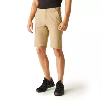 Спортивные шорты Regatta Highton Long, бежевый