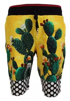 Спортивные шорты с разноцветным принтом кактусов Dolce & Gabbana