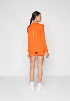 Спортивные шорты SENSE SHORTS Salomon, оранжевый