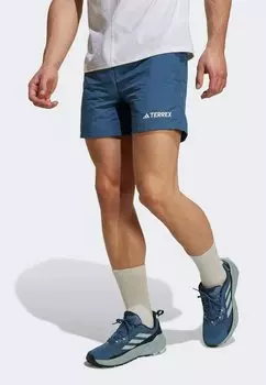 Спортивные шорты SHORT Adidas Terrex, синий