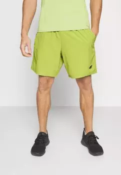 Спортивные шорты Shorts 4F, зеленые