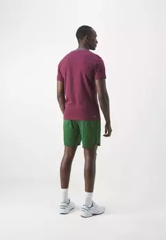 Спортивные шорты Shorts Medvedev Lacoste Sport, зеленые