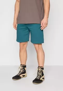 Спортивные шорты SILENT POWER SHORTS Venum, зеленый