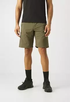 Спортивные шорты Silver Ridge Utility Columbia, цвет stone green