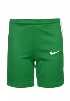 Спортивные шорты TEAM BASKETBALL STOCK Nike, цвет pine green white