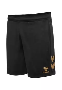 Спортивные шорты TEAMSPORT E24C Hummel, цвет schwarzgold
