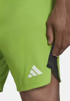 Спортивные шорты TIRO 23 TORWART adidas Performance, зеленый