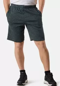 Спортивные шорты TRAINING LOGO Swedemount, зеленый