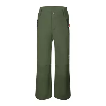 Спортивные шорты Trollkids Softshell Hose Hemsedal, цвет Efeugrn/Schwarz
