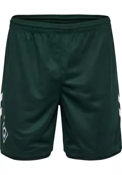 Спортивные шорты WER 23/24 3RD Hummel, цвет scarab