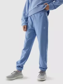 Спортивные штаны 4F, синий