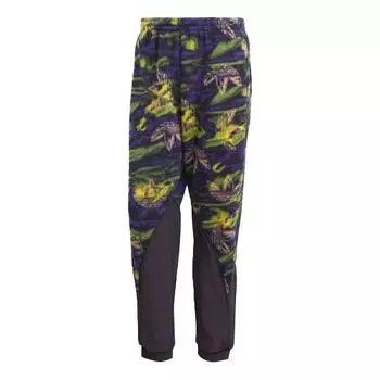 Спортивные штаны adidas originals Bg TF Turf Print Tp, мультиколор