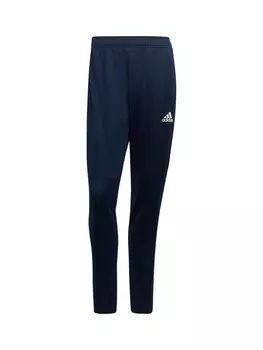 Спортивные штаны ADIDAS PERFORMANCE Regular Workout Pants, синий