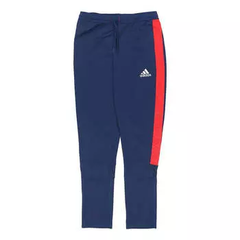 Спортивные штаны adidas Tan Club H Pant Football Running Pants Men Blue, синий
