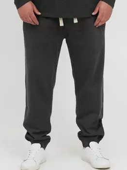 Спортивные штаны bhtilo bt Blend, серый