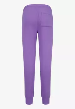 Спортивные штаны BROOKLYN PANT UNISEX Jordan, фиолетовый