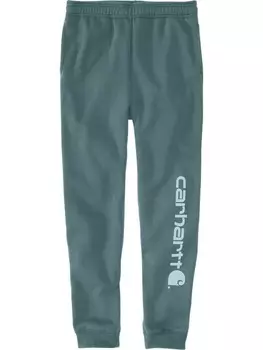 Спортивные штаны CARHARTT , зеленый