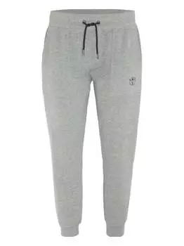 Спортивные штаны Chiemsee, серый