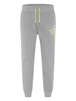 Спортивные штаны Chiemsee, серый