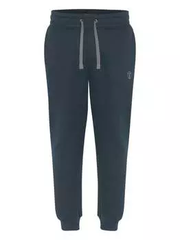 Спортивные штаны Chiemsee, синий
